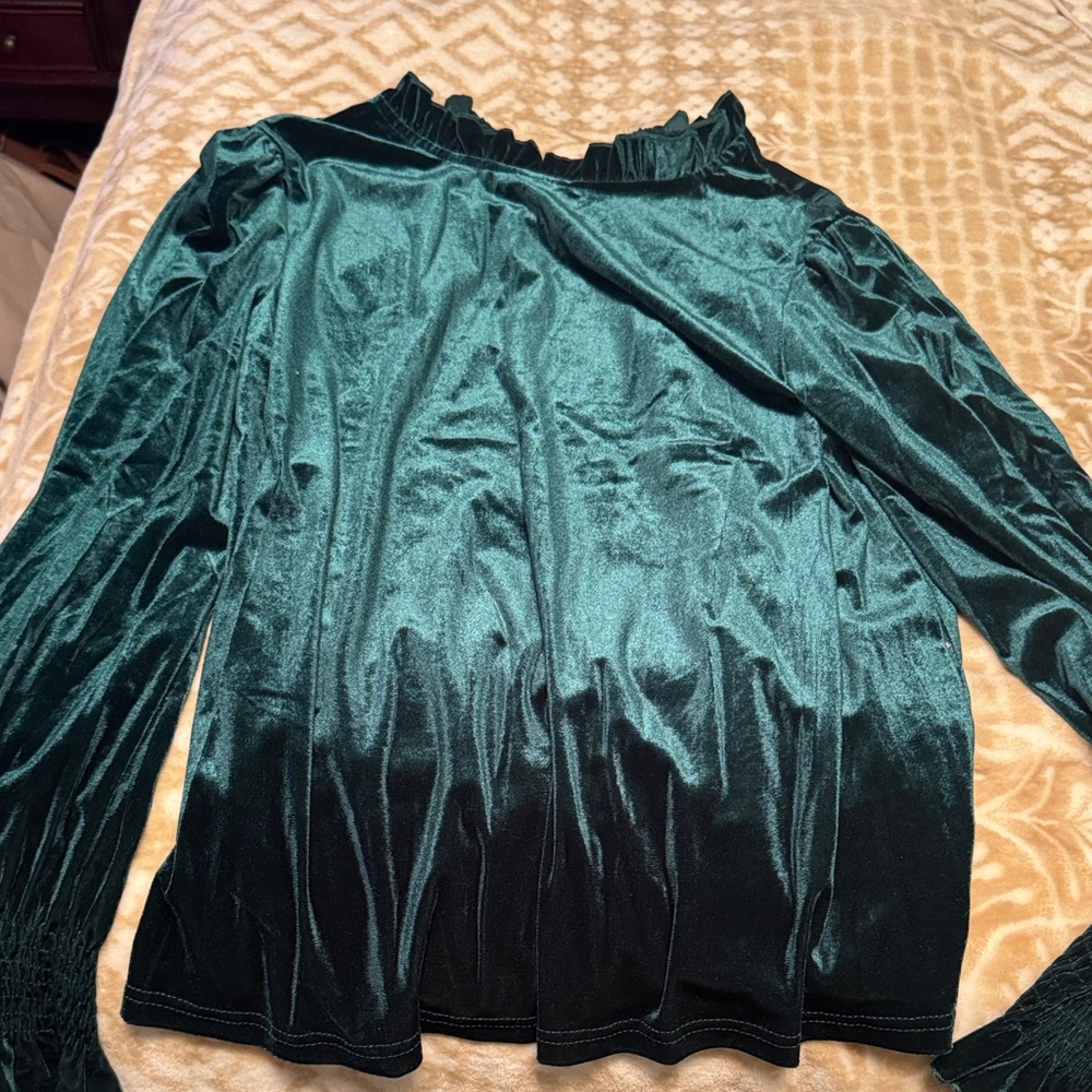 SHEIN Teal Velvet Long Sleeve Blouse